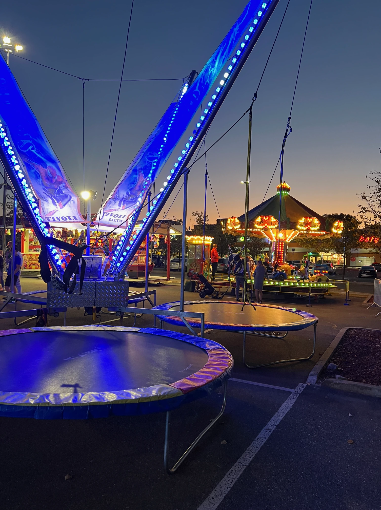 Mažoji šokdynė - nuotrauka 4